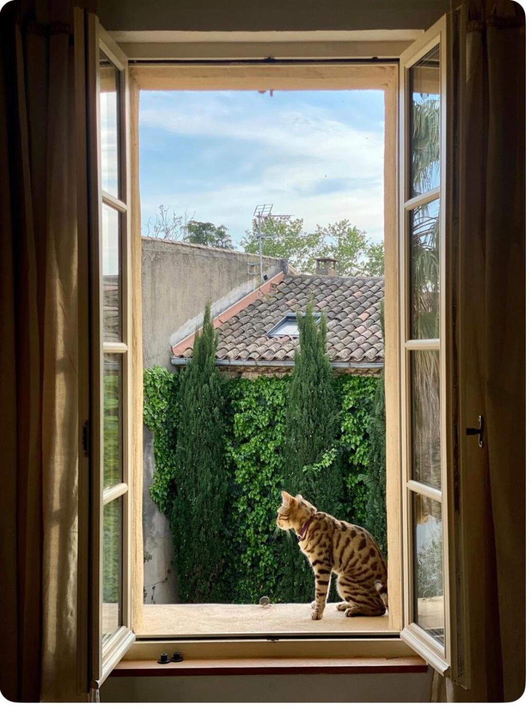 Appartement Le Figuier à Beauvoisin  Extérieur photo